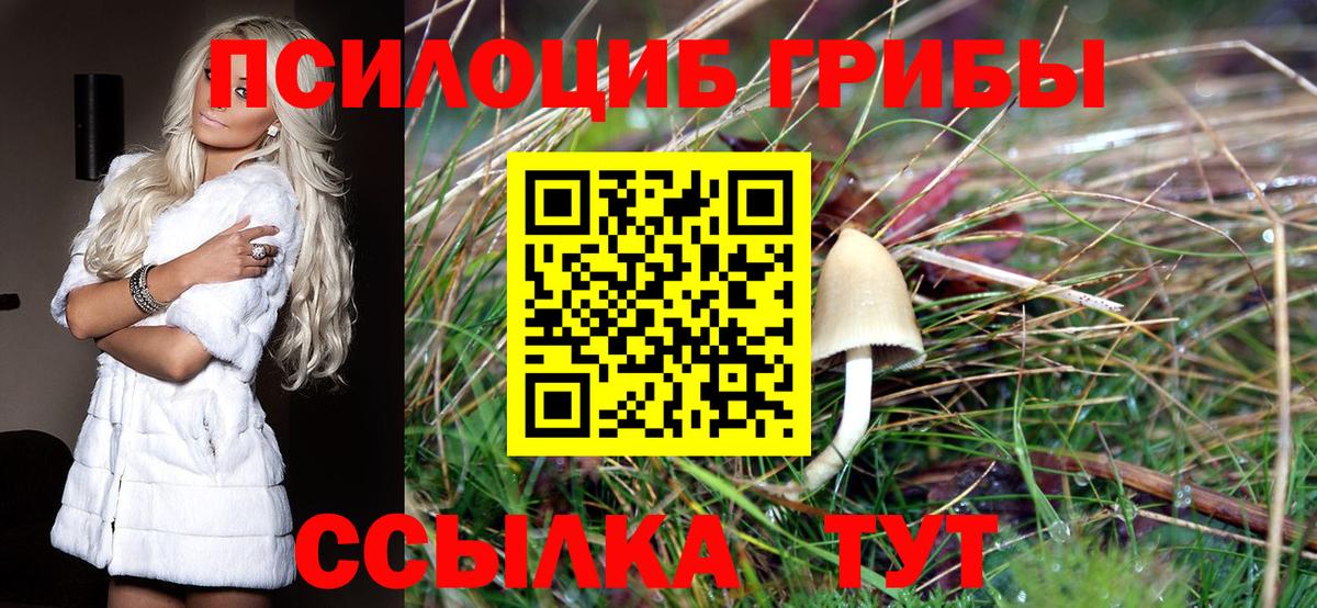 Галлюциногенные грибы ЛСД  Галлюциногенные грибы мухоморы  Вход с VPN  Казань 